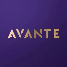 avantesalon.com