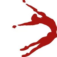 chicagodancesupply.com